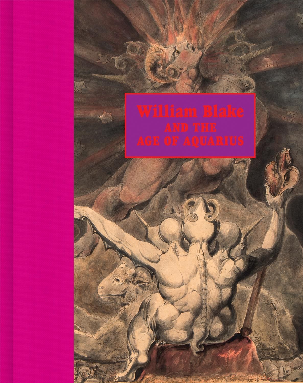 William Blake and the Age of Aquarius 9780691175256 (Hardback)