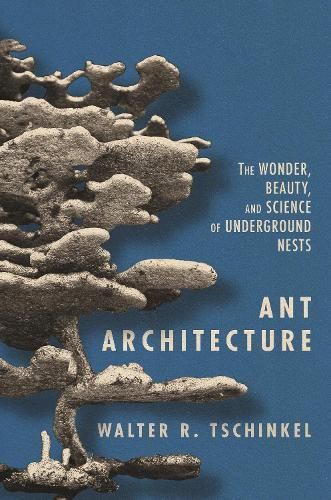 Ant Architecture 9780691179315 (Hardback)