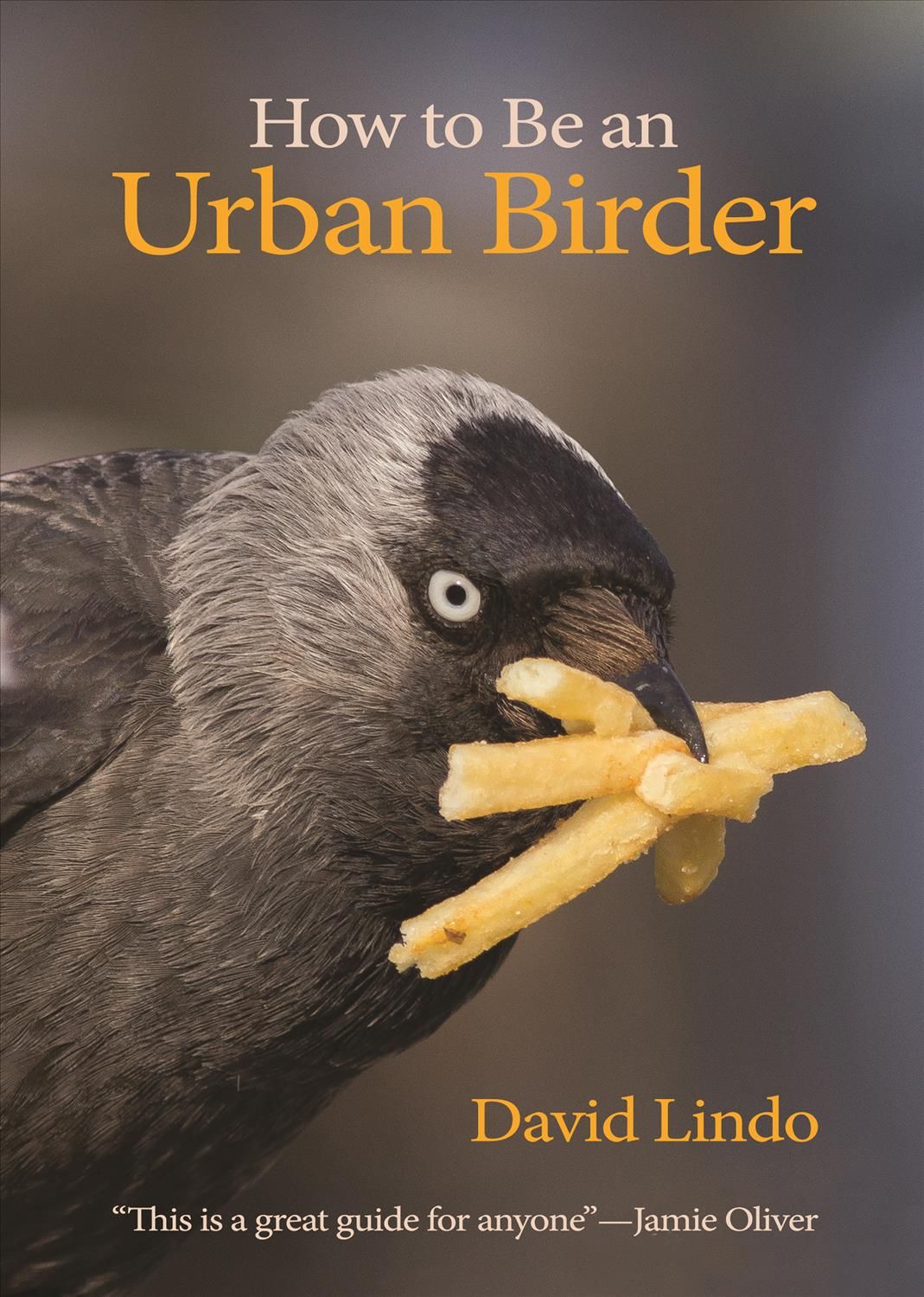 How to Be an Urban Birder 9780691179629 (Paperback)