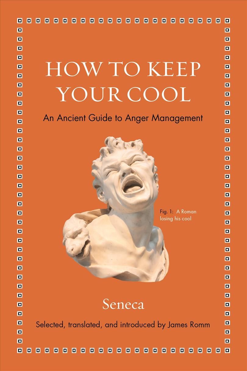 How to Keep Your Cool 9780691181950 (Hardback)