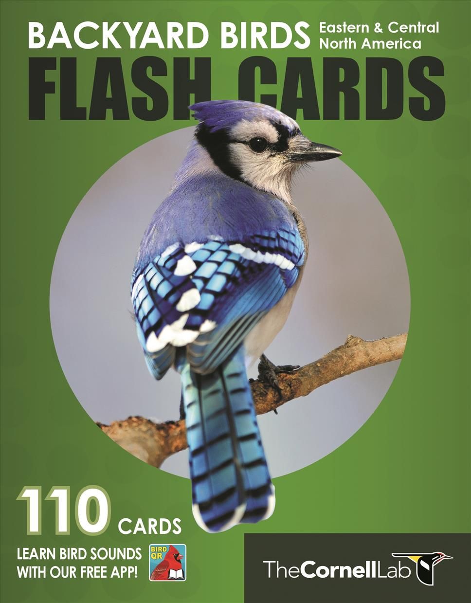 Backyard Birds Flash Cards - Eastern & Central North America (Cards)