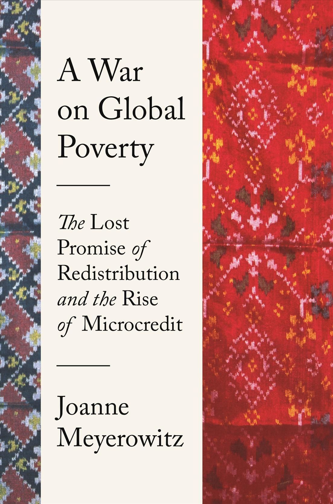 A War on Global Poverty By Joanne J. Meyerowitz 9780691206332