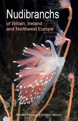 Nudibranchs of Britain, Ireland and Northwest Europe 9780691208794