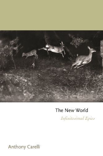 The New World By Anthony Carelli 9780691218793 (Paperback)