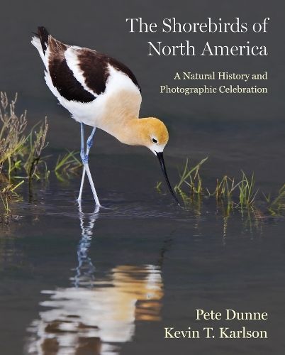 The Shorebirds of North America By Pete Dunne, Kevin Karlson