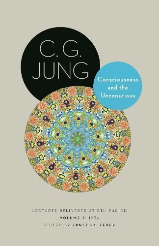 Consciousness and the Unconscious 9780691228570 (Hardback)