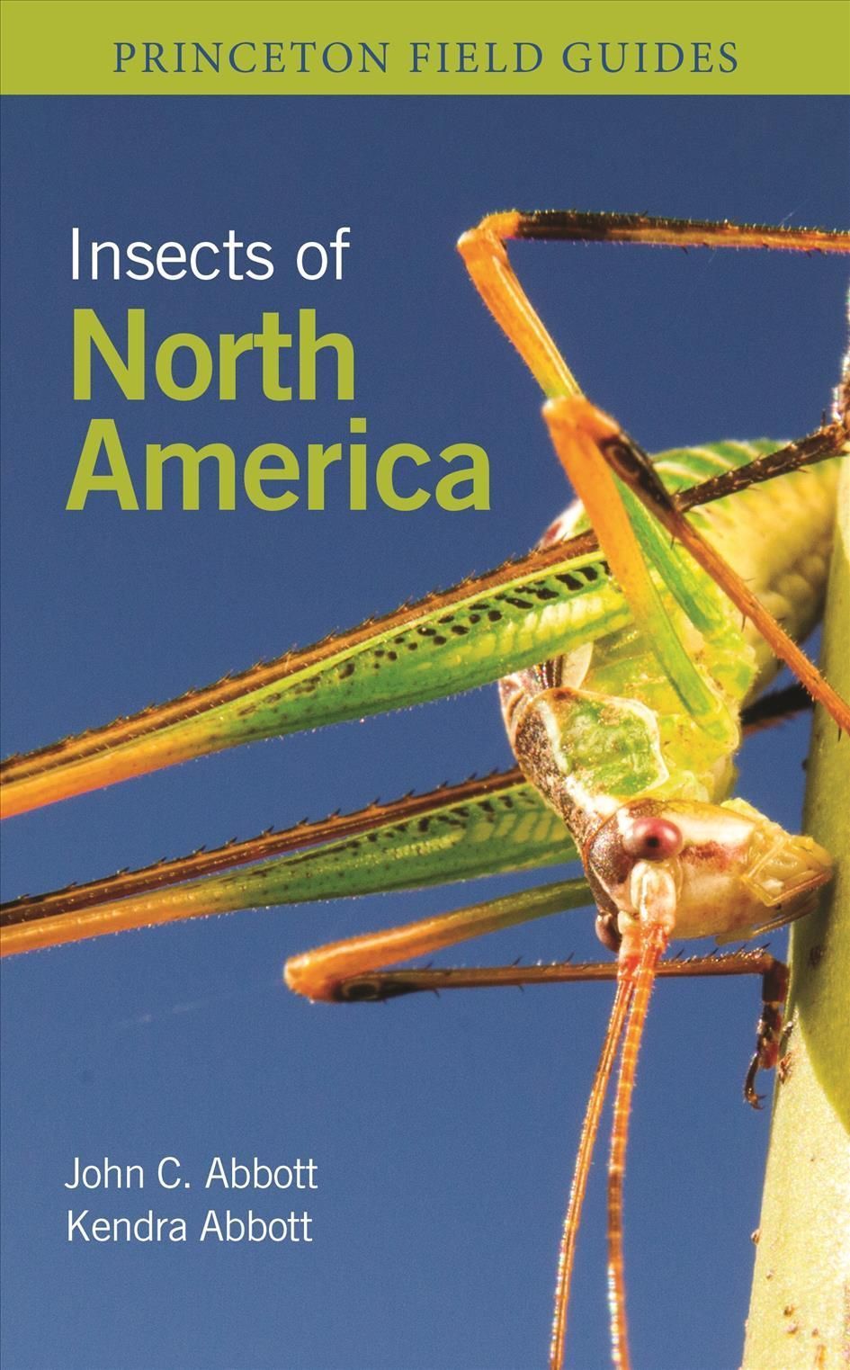 Insects of North America By John C. Abbott, Kendra Abbott (Paperback)