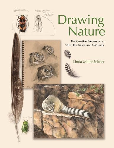 Drawing Nature By Linda M. Feltner 9780691255385 (Hardback)