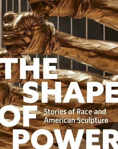The Shape of Power 9780691261492 (Hardback)