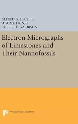 Electron Micrographs of Limestones and Their Nannofossils (Hardback)