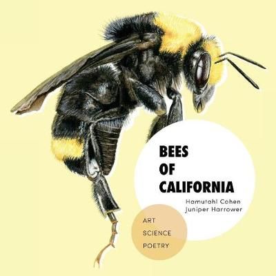 Bees of California: Art, Science, and Poetry By Cohen, Hamutahl