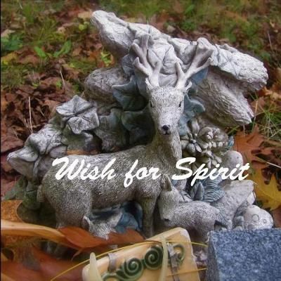 Wish for Spirit By Sarah Muehlbauer 9780692209370 (Paperback)