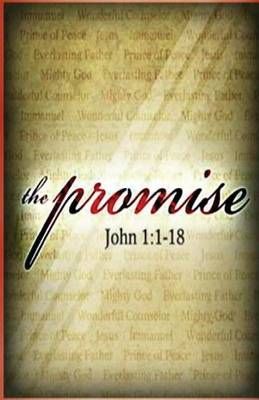 The Promise By Lisa Christine Christiansen 9780692551073 (Paperback)