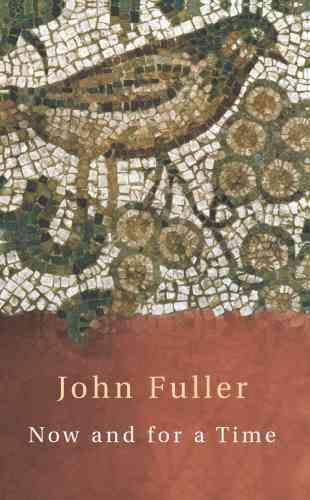Now and for a Time By John Fuller 9780701173517 (Paperback)