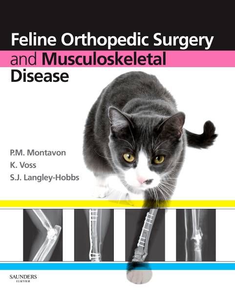 Feline Orthopedic Surgery and Musculoskeletal Disease 9780702029868