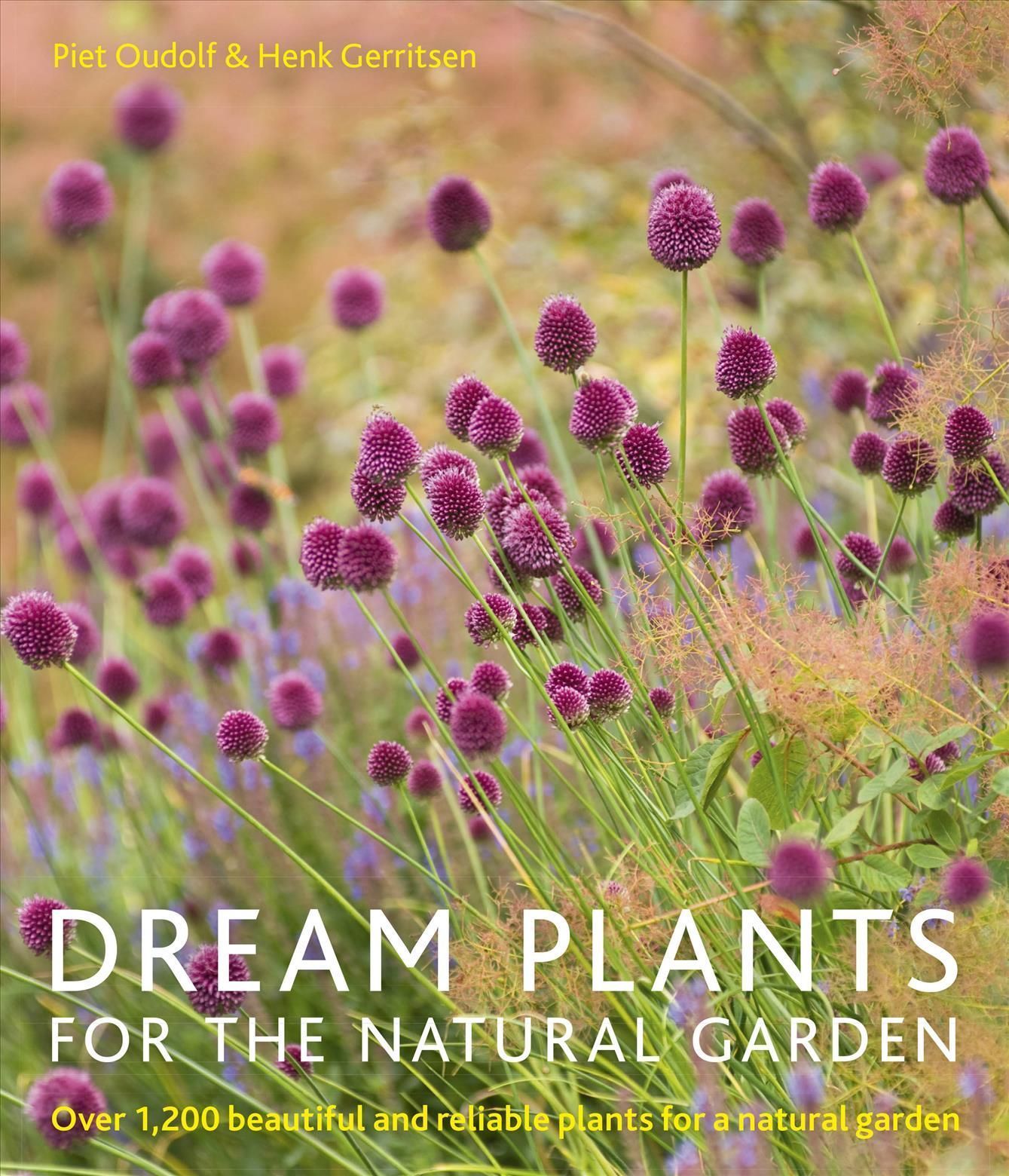 Dream Plants for the Natural Garden By Piet Oudolf, Henk Gerritsen