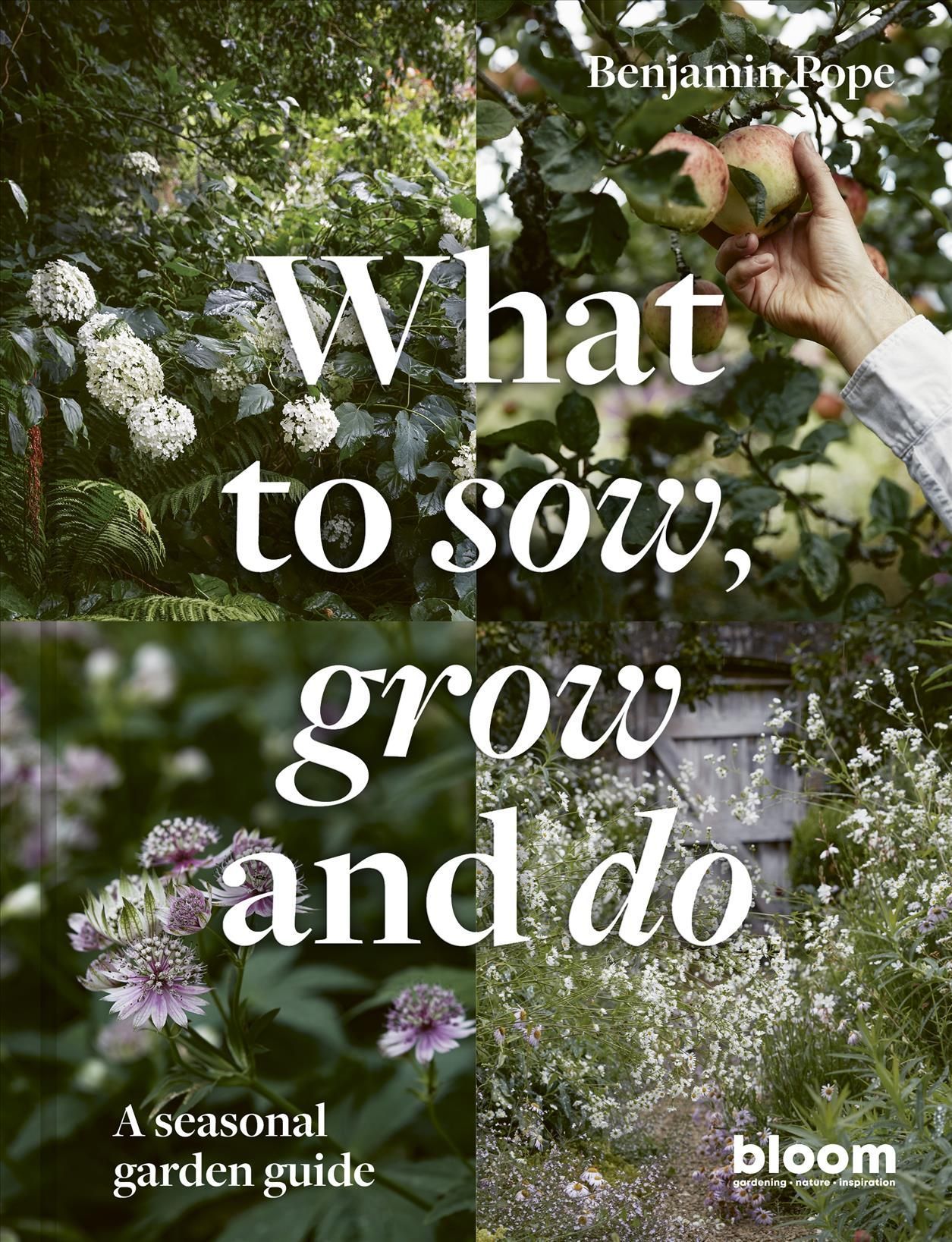 What to Sow, Grow and Do 9780711269934 (Hardback)