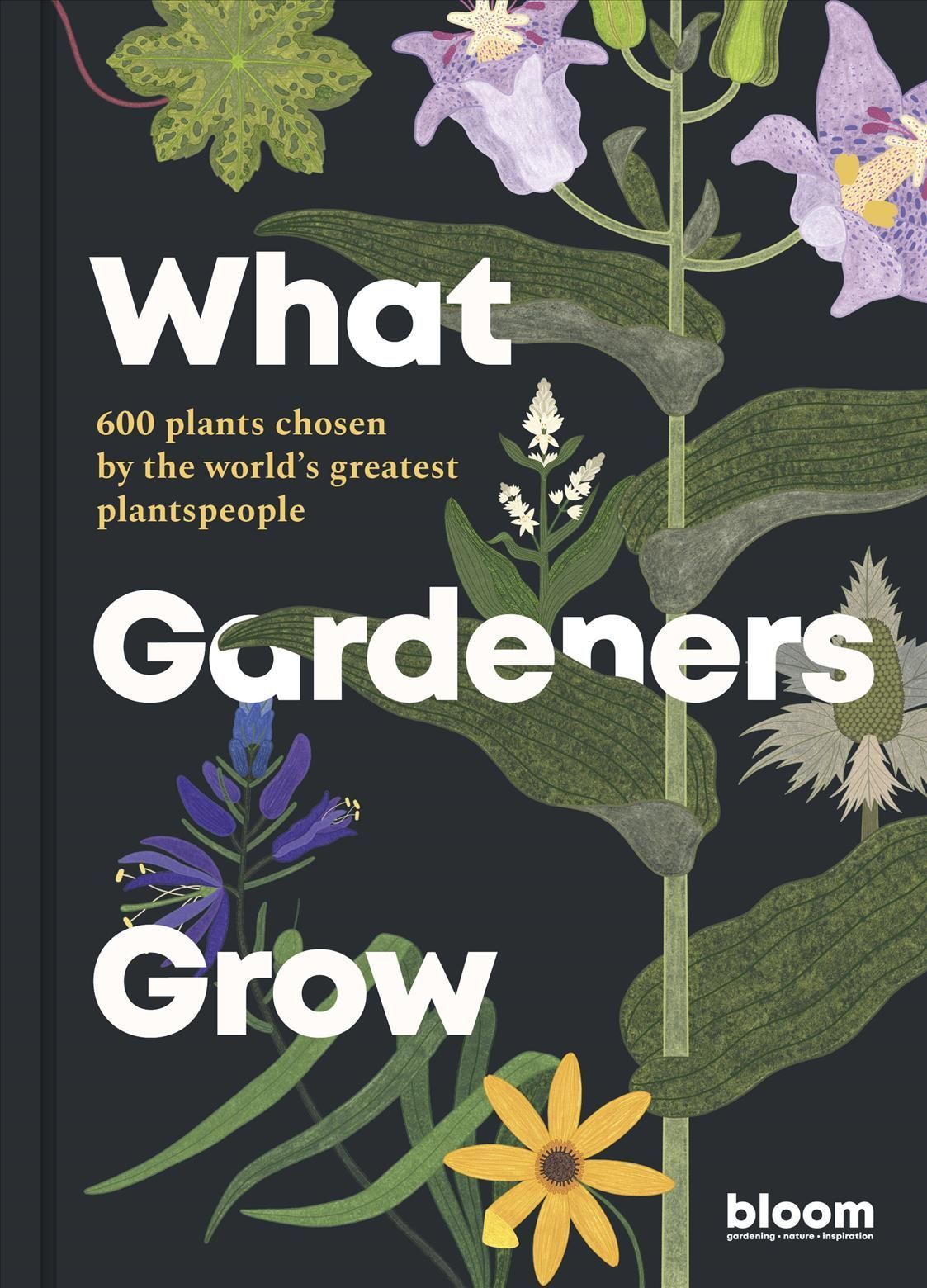 What Gardeners Grow By Melanie Gandyra (illustrator) 9780711272903