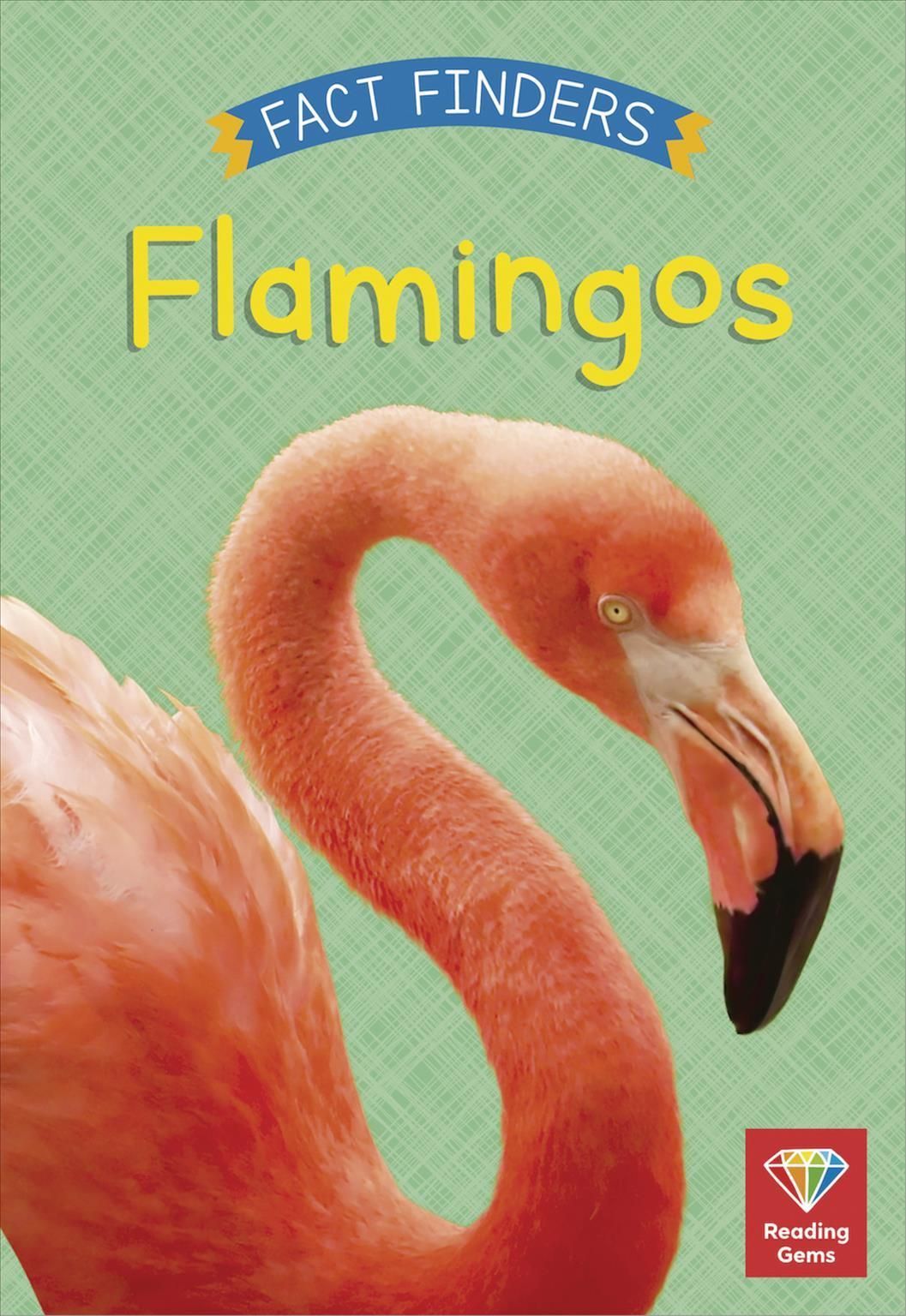 Flamingos By Katie Woolley 9780711273139 (Paperback)