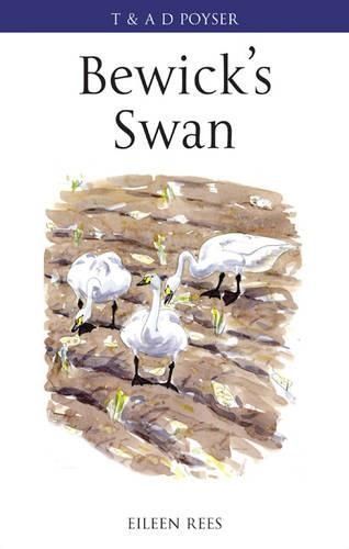 Bewick's Swan By Eileen C. Rees 9780713665598 (Hardback)