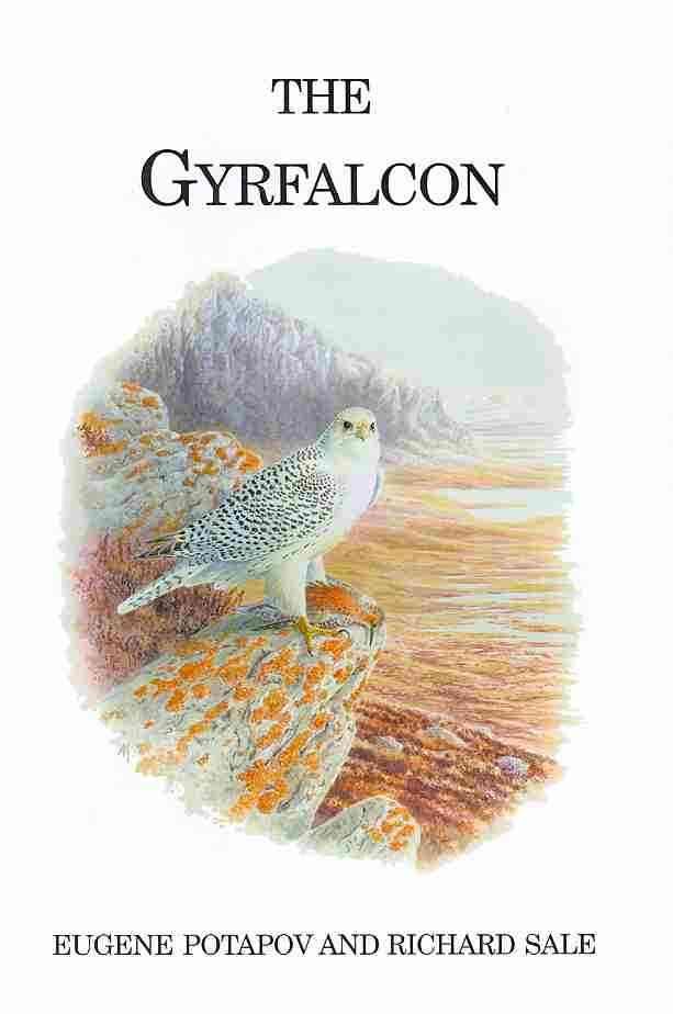 The Gyrfalcon By E. Potapov, Richard Sale 9780713665635 (Hardback)