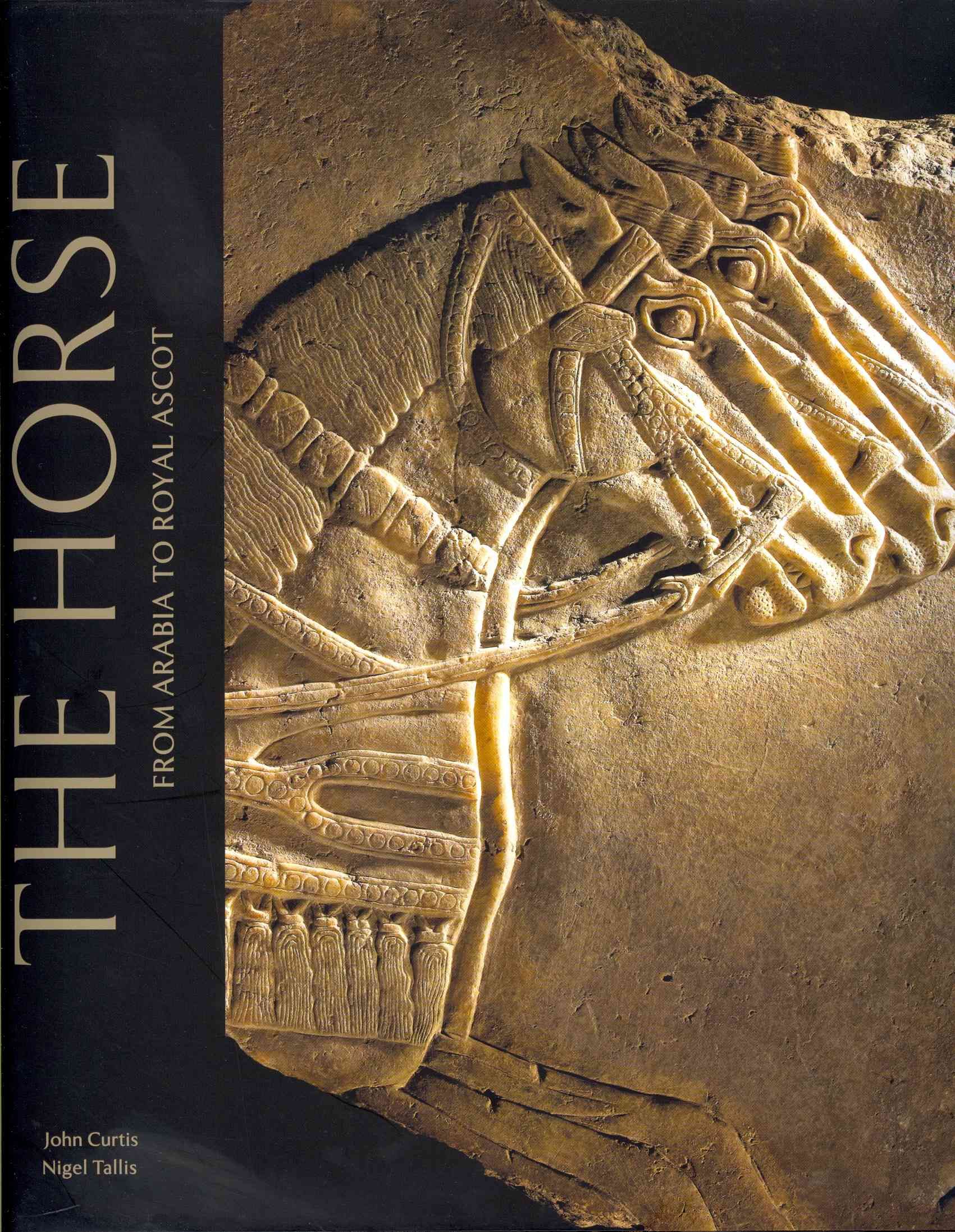 The Horse 9780714111834 (Paperback)