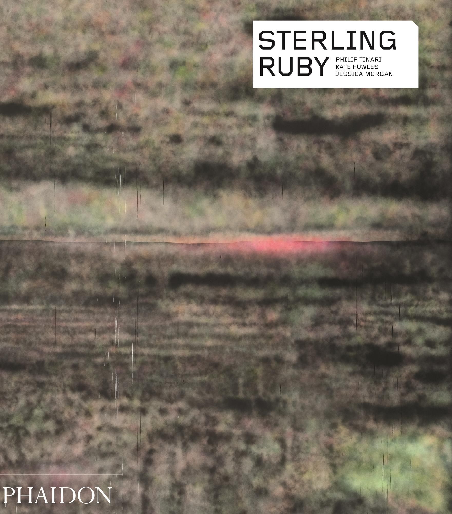 Sterling Ruby By Kate Fowle 9780714870434 (Paperback)