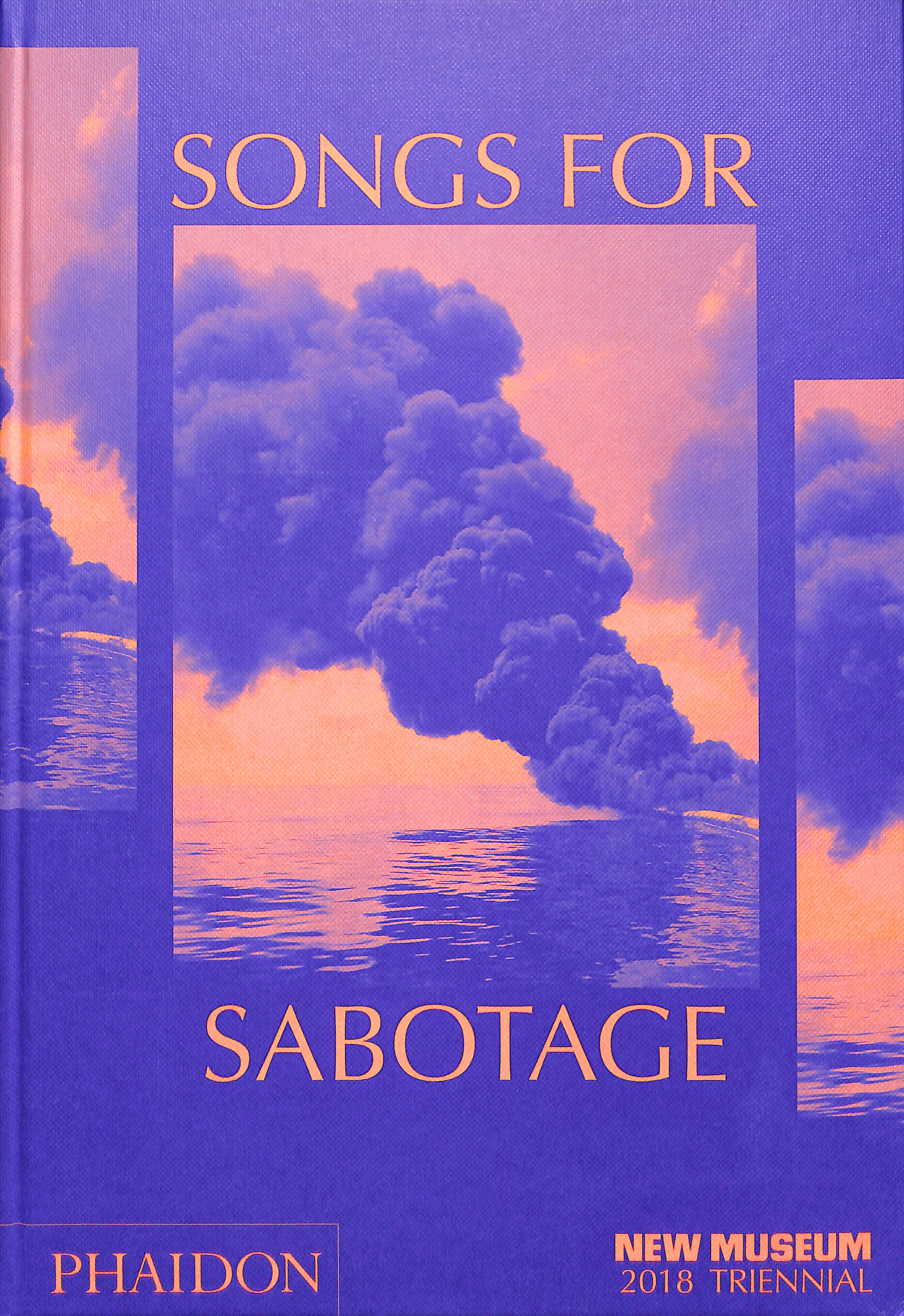 Songs for Sabotage By Gary Carrion-Murayari 9780714877334 (Hardback)