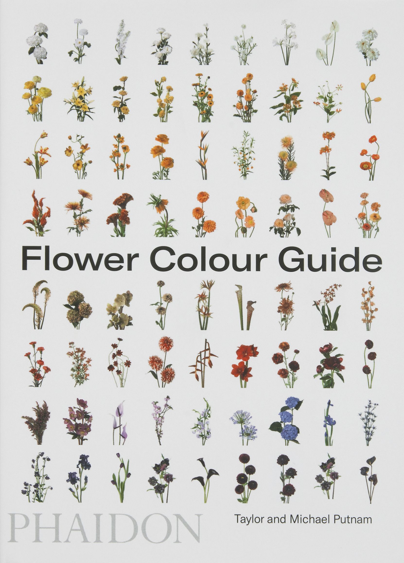 Flower Colour Guide By Taylor Putnam 9780714878300 (Paperback)