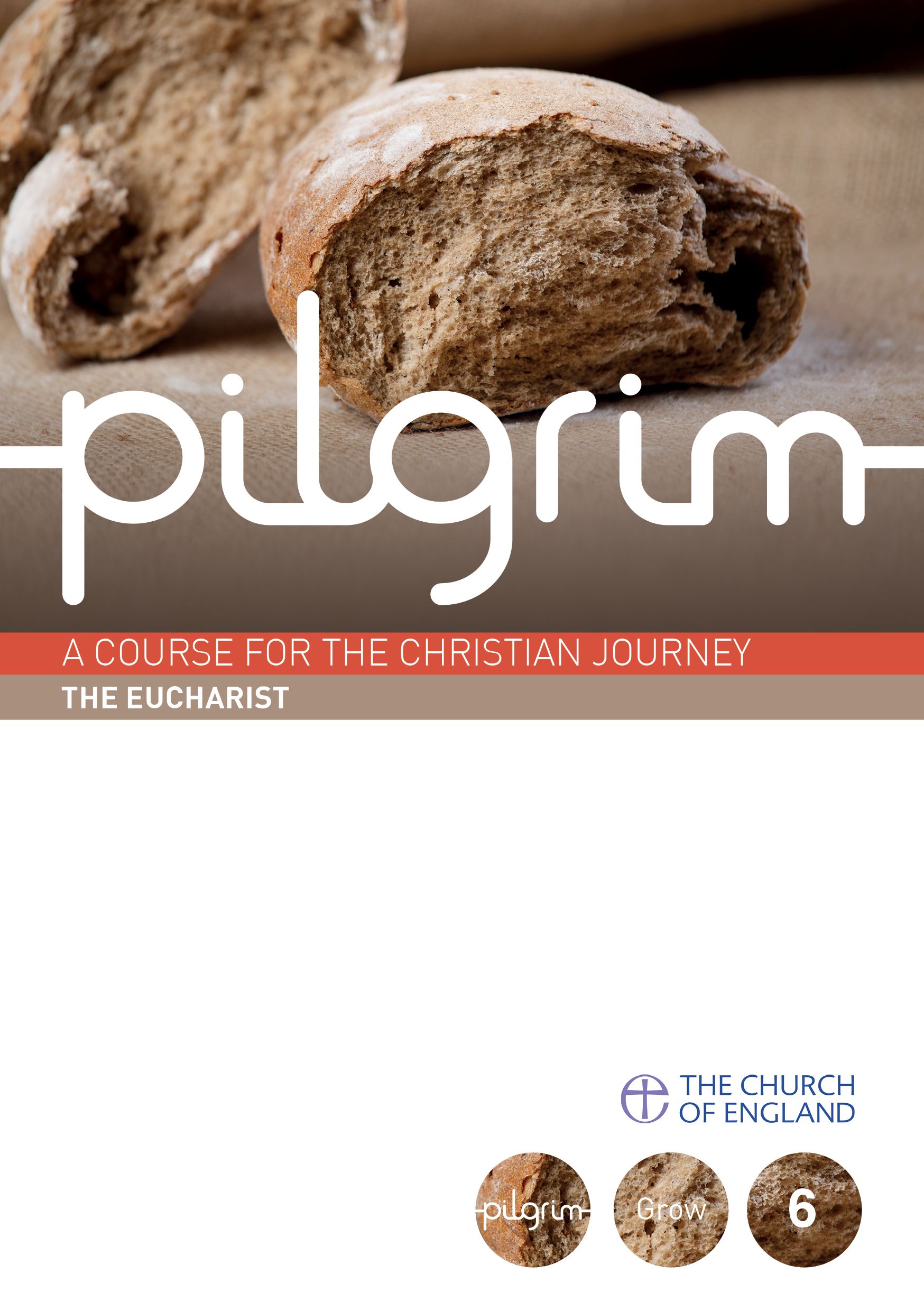 Pilgrim: The Eucharist pack of 25 By Stephen Cottrell 9780715144527