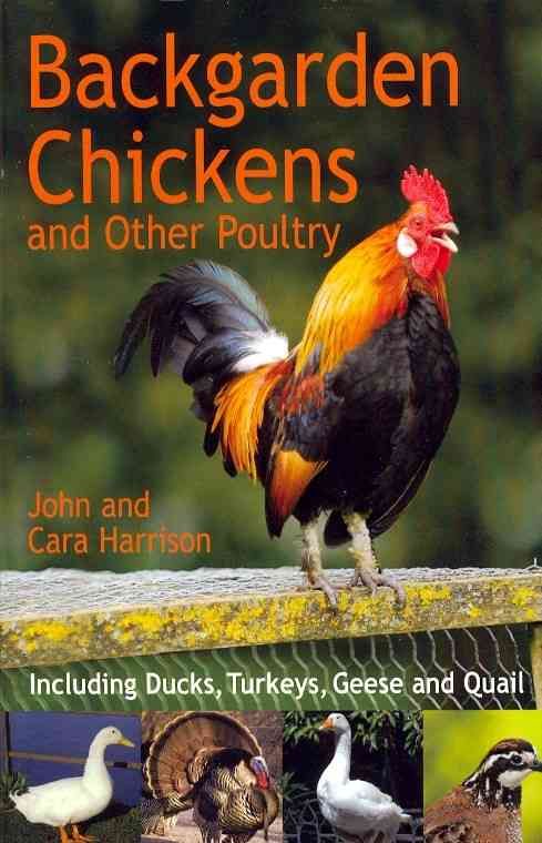 Backgarden Chickens and Other Poultry By John Harrison 9780716022688