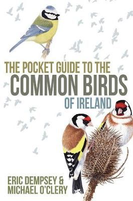 The Pocket Guide to the Common Birds of Ireland 9780717151097