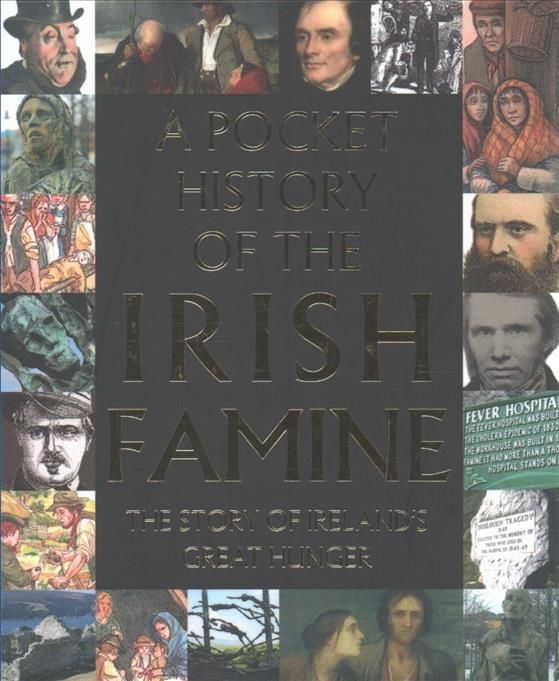 A Pocket History of the Irish Famine By Fiona Biggs 9780717179442