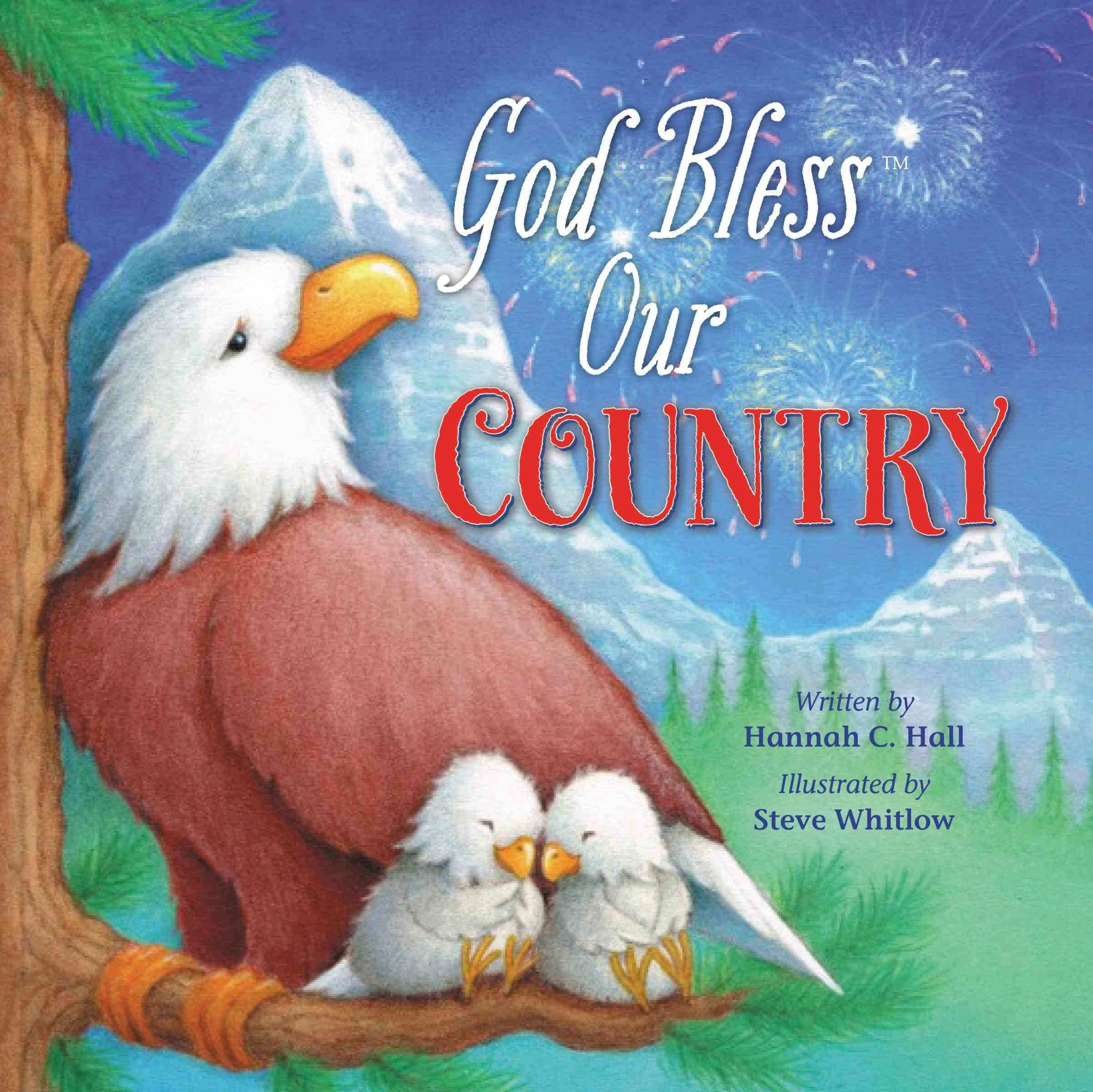God Bless Our Country 9780718040178 (Board book)