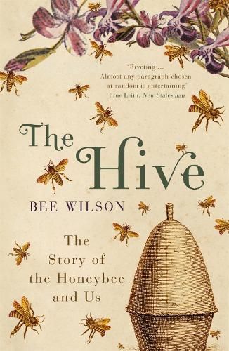 The Hive By Bee Wilson 9780719565984 (Paperback)