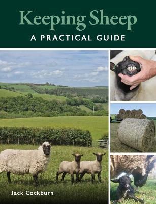 Keeping Sheep By Jack Cockburn 9780719842214 (Paperback)