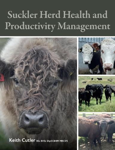 Suckler Herd Health and Productivity Management By Keith Cutler