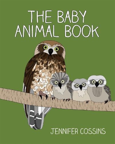 The Baby Animal Book By Jennifer Cossins 9780734418166 (Paperback)