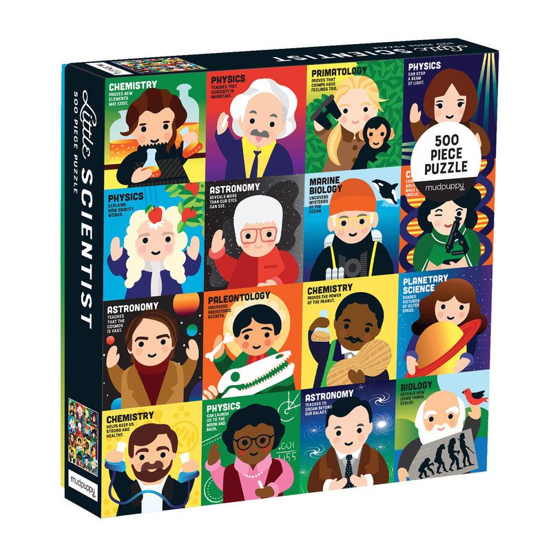 Little Scientist 500 Piece Family Puzzle By Lydia Ortiz 9780735356726