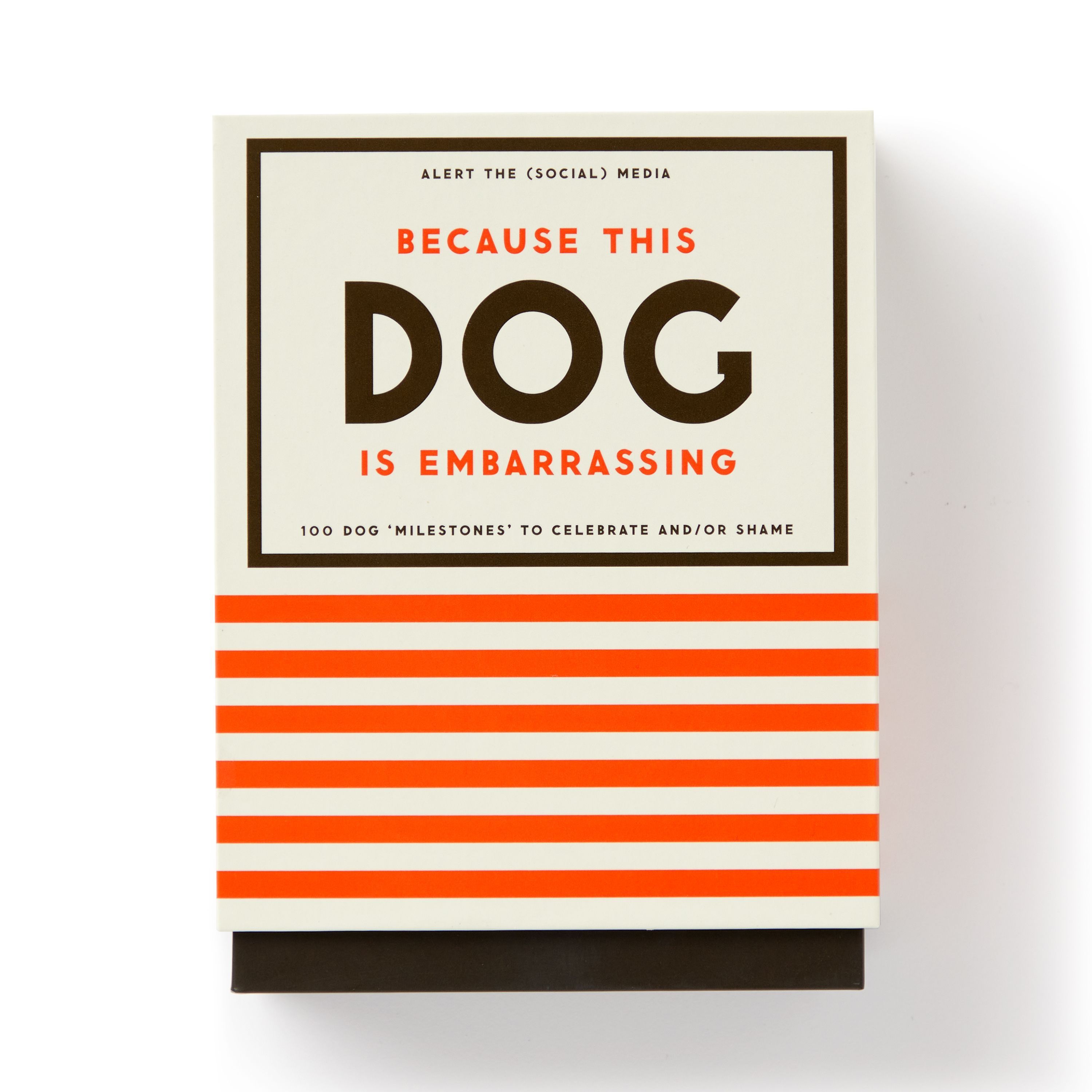 Because This Dog Is Embarrassing - Pet Shame/Praise Deck 9780735379312