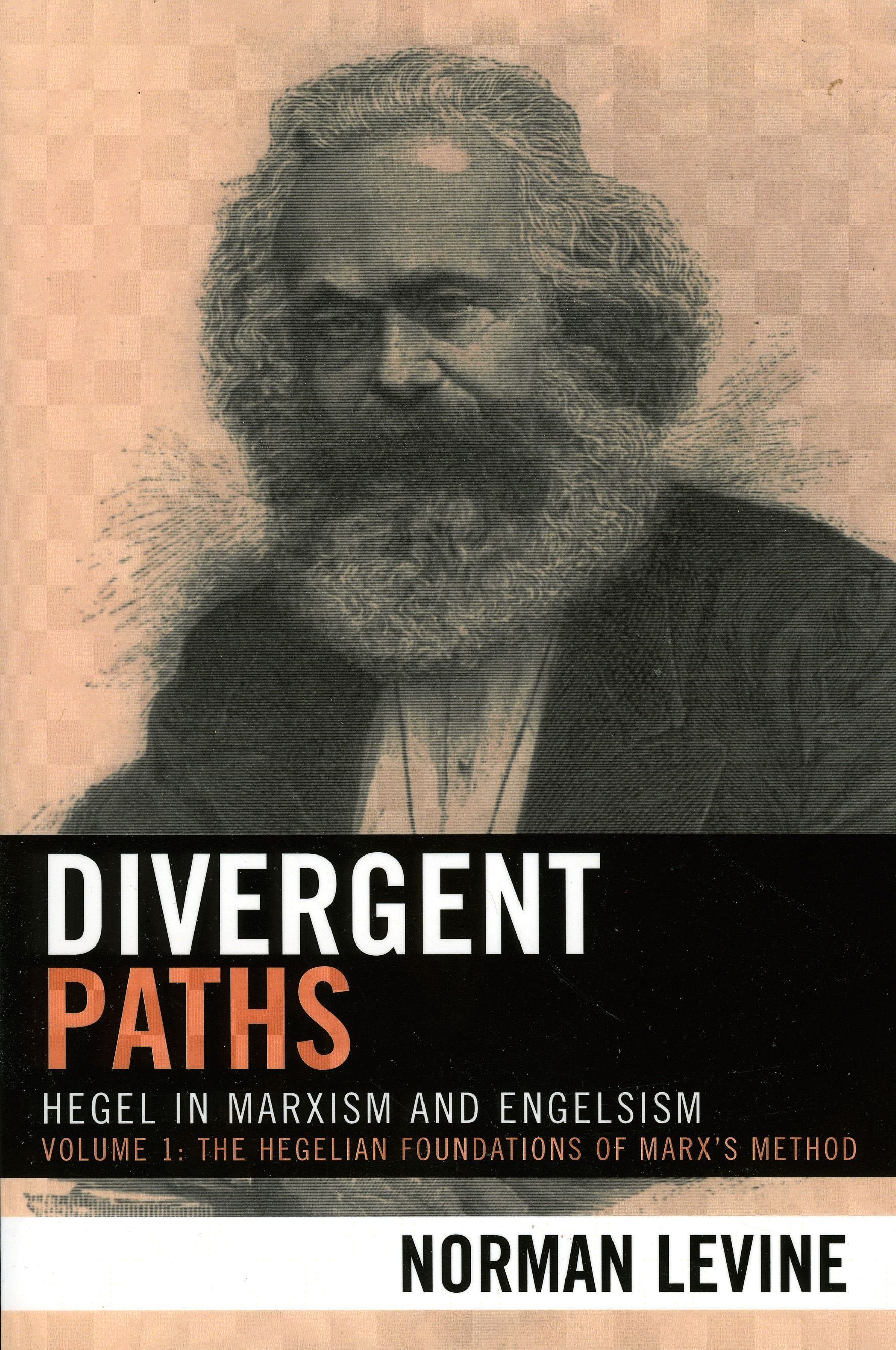 Divergent Paths By Norman Levine 9780739110478 (Hardback)