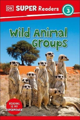 Wild Animal Groups By Libby Romero 9780744075526 (Hardback)