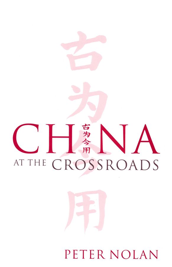 China at the Crossroads By Peter Nolan 9780745632391 (Paperback)