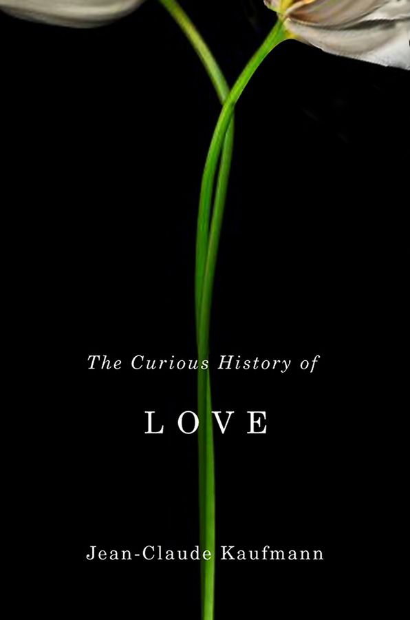 The Curious History of Love By Jean?Claude Kaufmann 9780745651538