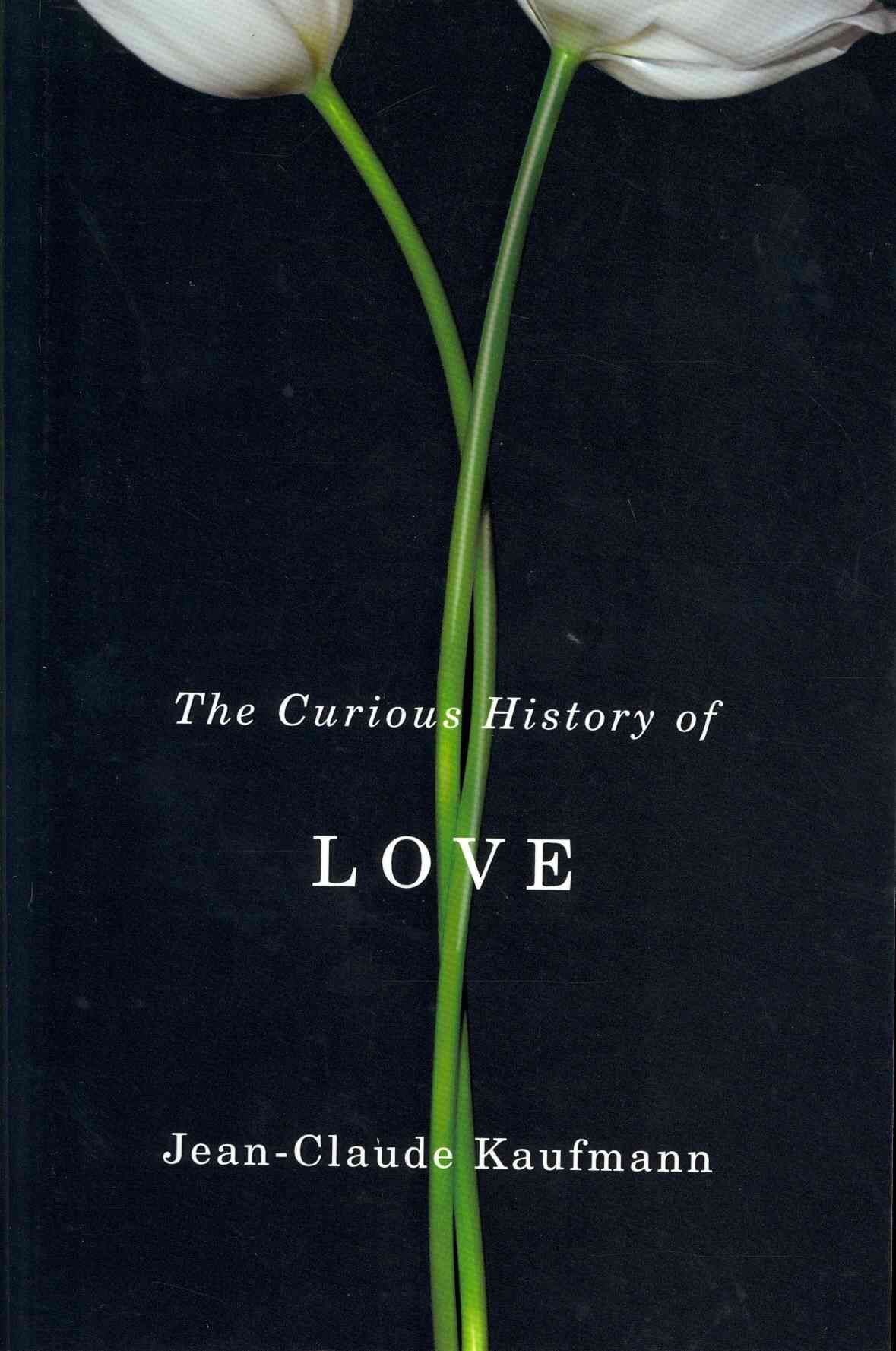 The Curious History of Love By Jean?Claude Kaufmann 9780745651545