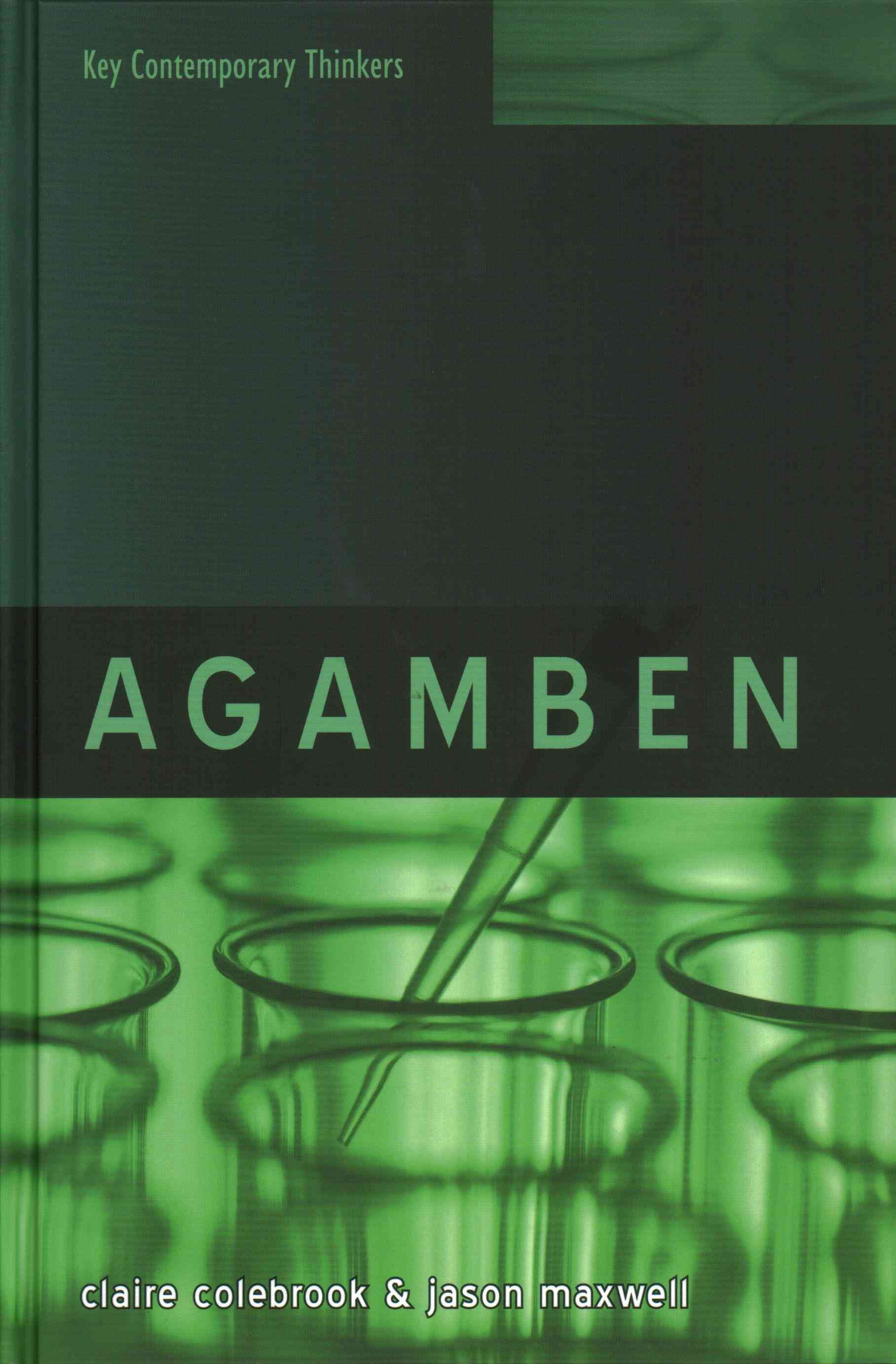 Agamben By Claire Colebrook 9780745653105 (Hardback)