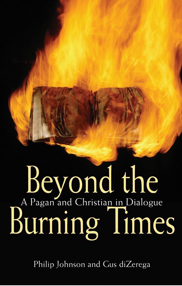 Beyond the Burning Times By Philip Johnson 9780745952727 (Paperback)