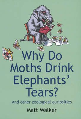 Why Do Moths Drink Elephants' Tears? By Matt Walker 9780749951535