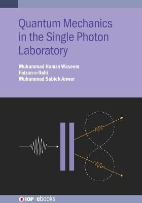 Quantum Mechanics in the Single Photon Laboratory 9780750330619