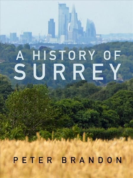 A History of Surrey By Peter Brandon 9780750998178 (Paperback)
